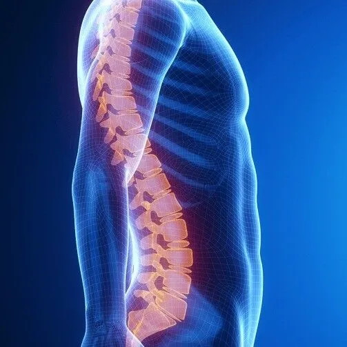 Best spine surgeon in india