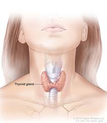 thyroidcancer